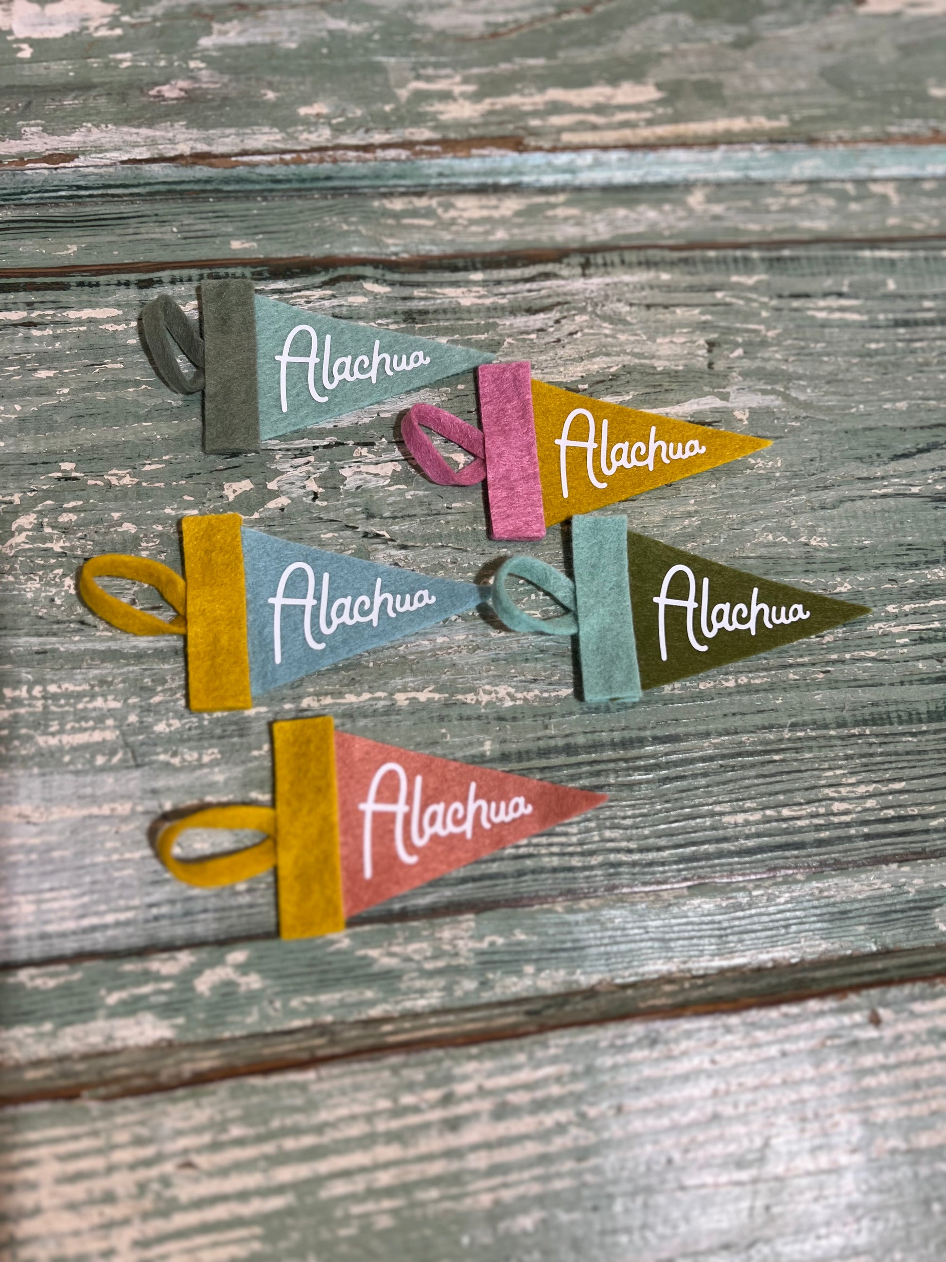 Alachua Mini Pennant
