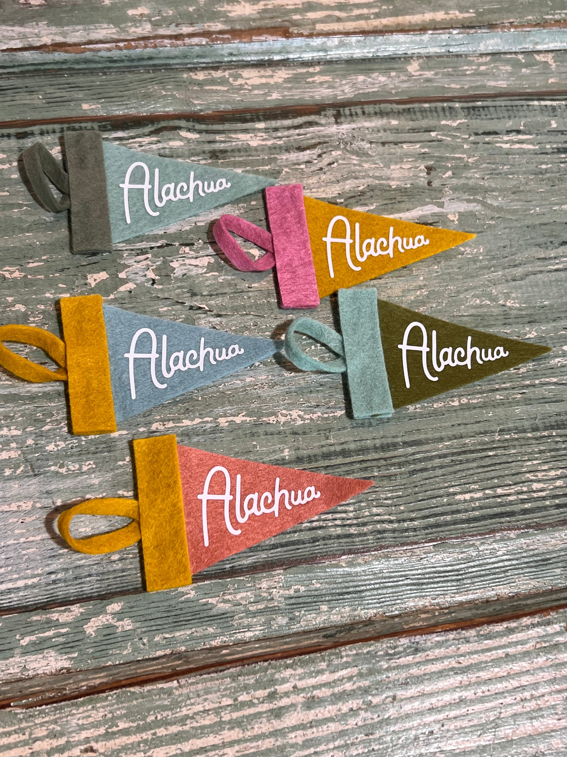 Alachua Mini Pennant