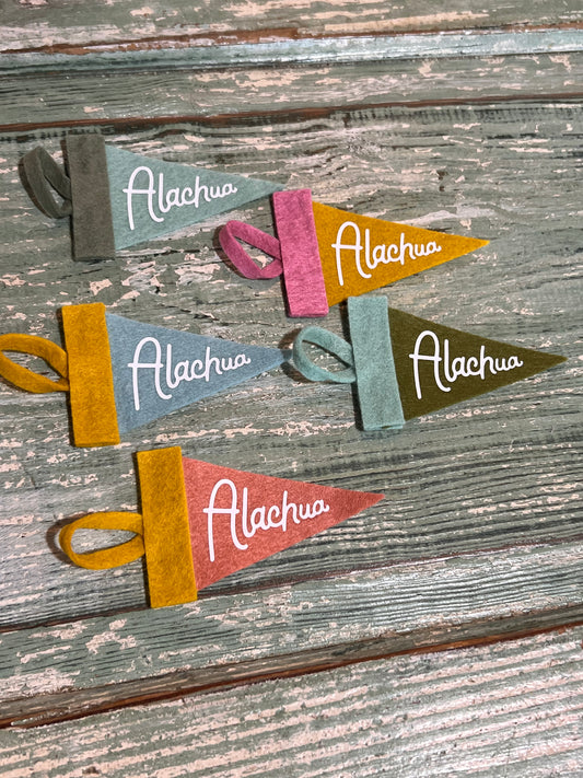 Alachua Mini Pennant