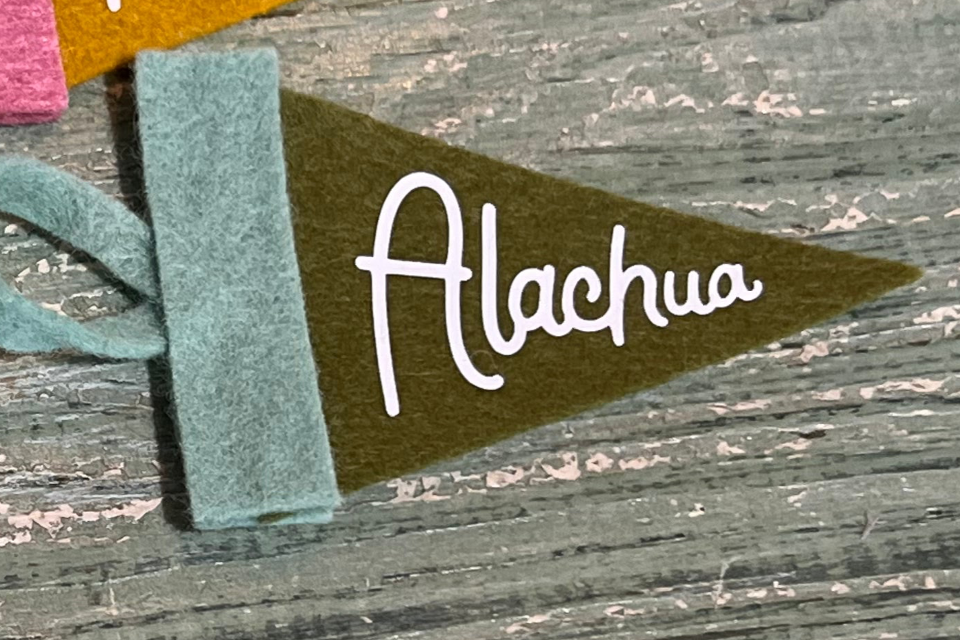 Alachua Mini Pennant Teal Green