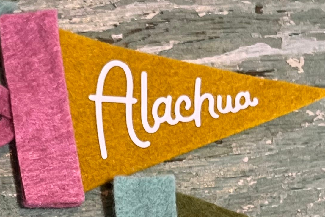 Alachua Mini Pennant Pink Mustard