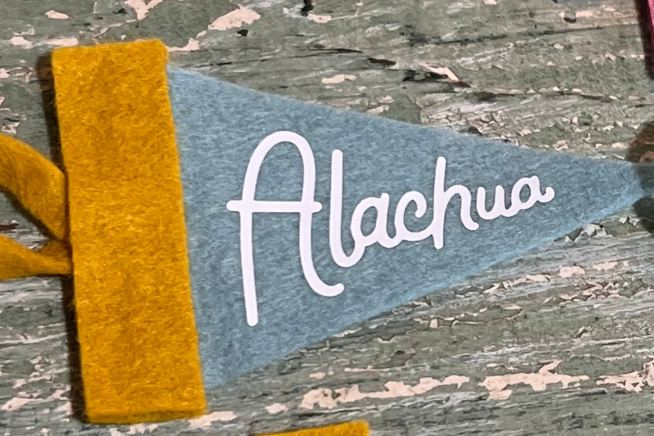 Alachua Mini Pennant Mustard Teal