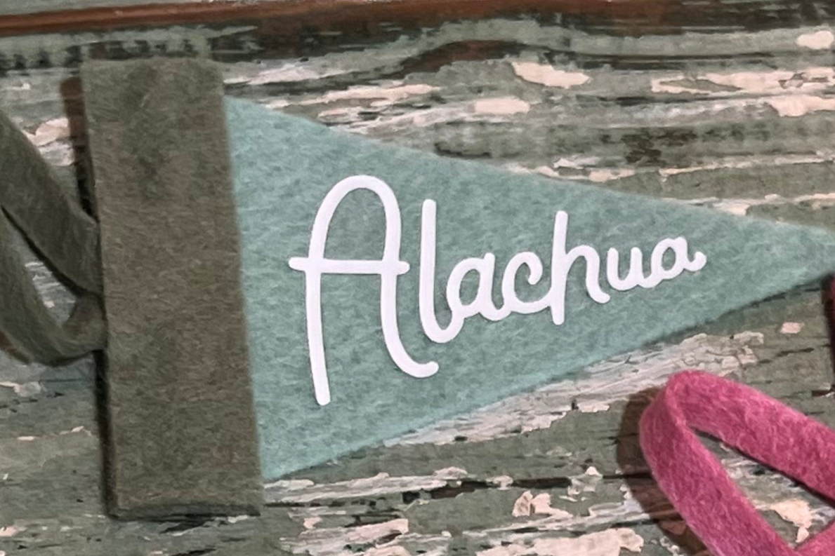 Alachua Mini Pennant Green Teal