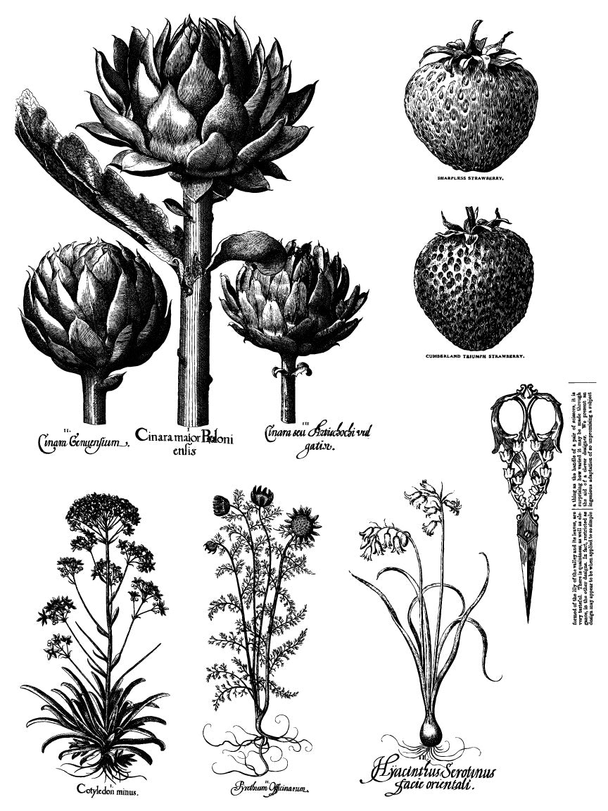 Melange IOD Paint Inlay 12x16 PadЄ