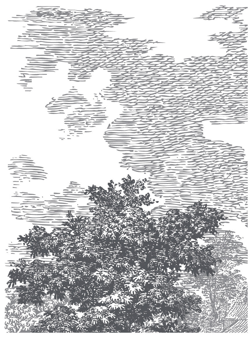 Summer Villa IOD Paint Inlay 12x16 PadЄ