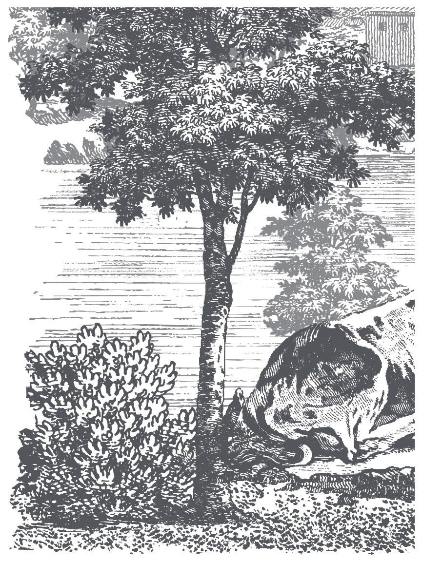 Summer Villa IOD Paint Inlay 12x16 PadЄ