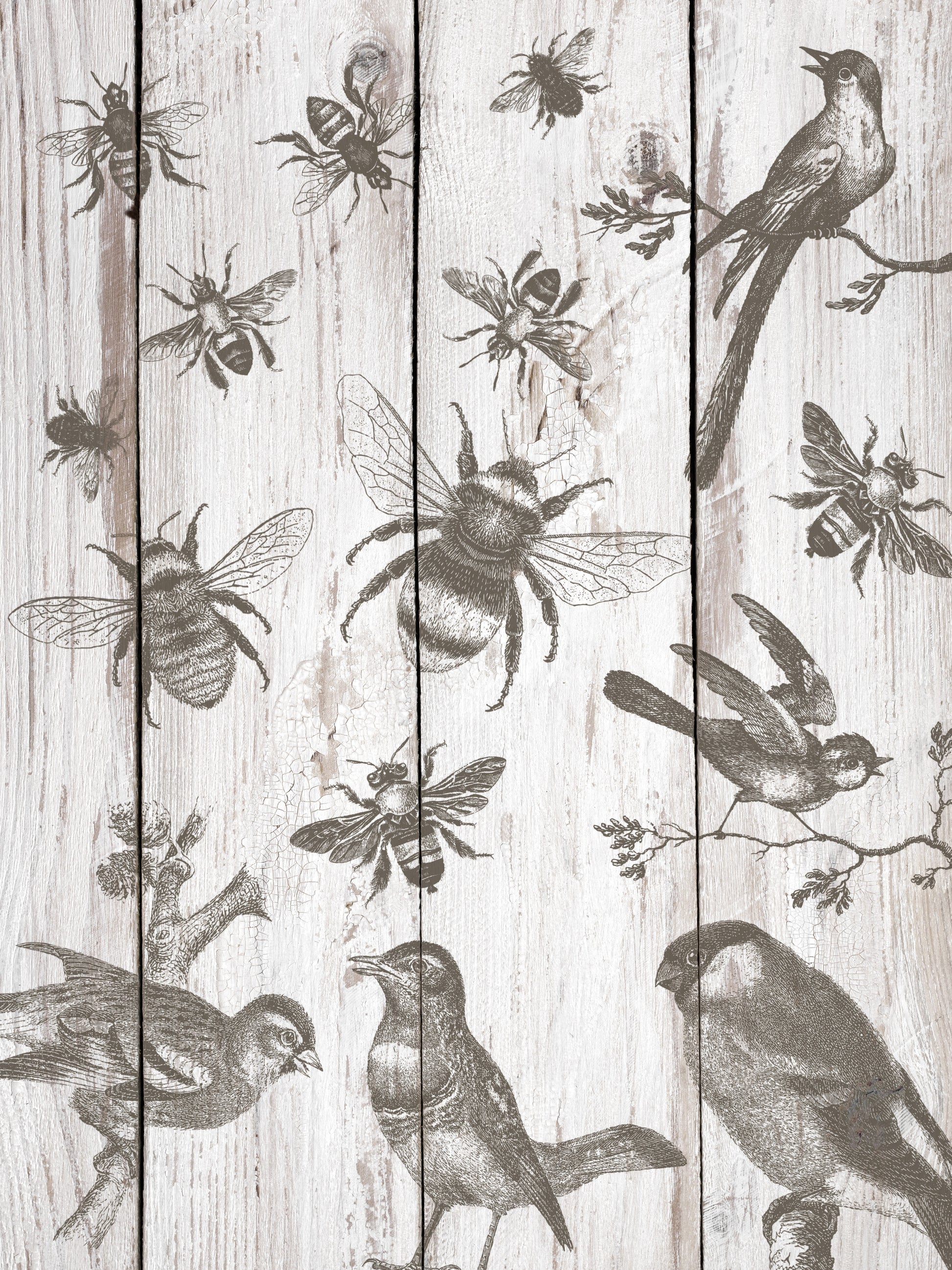 Birds & Bees 12x12 IOD StampЄ