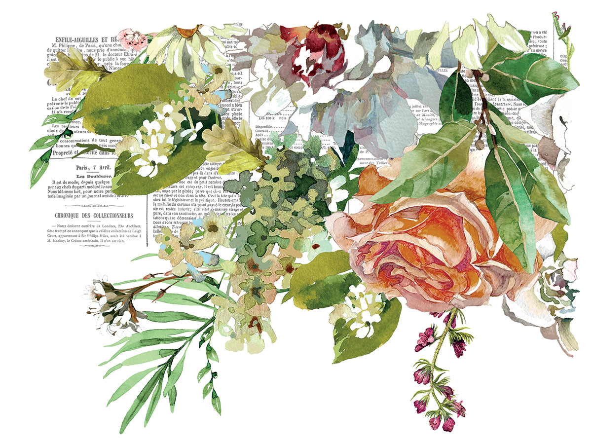 Elysium IOD Transfer 12x16 PadЄ