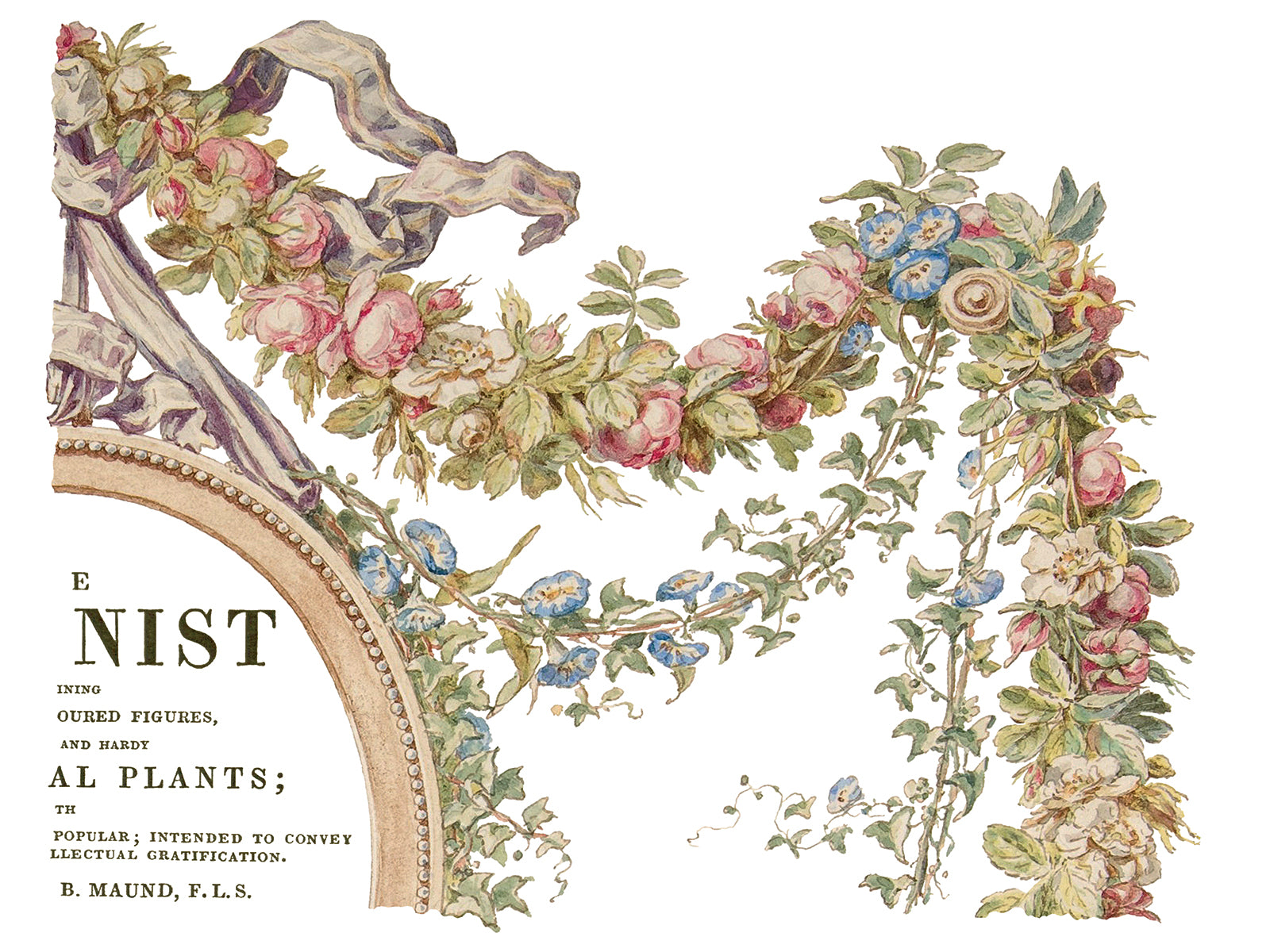 The Botanist IOD Transfer 12x16 PadЄ