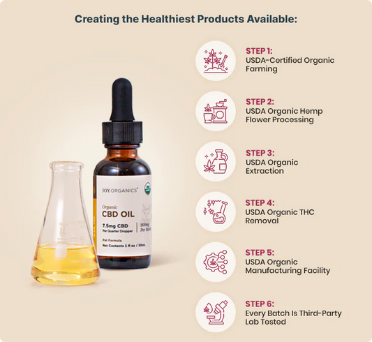 Organic CBD Tincture for Dogs, Cats & Pets - 450mg