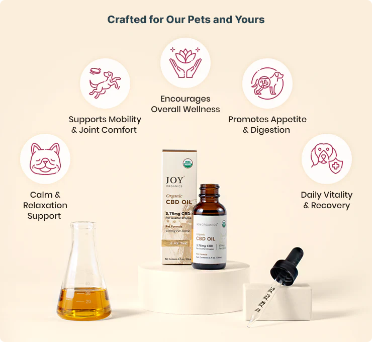 Organic CBD Tincture for Dogs, Cats & Pets - 450mg