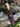 Damascus Steel Guthook Skinning Knife TK-056 Titan International