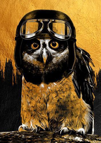 A1 Owl **NEW RELEASE** Mint Decoupage Paper - The Mustard Seed Collection, The Seed