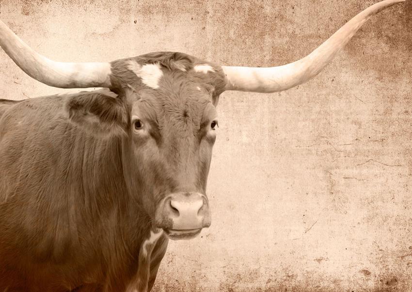 A1 Texas Longhorn Mint Decoupage Paper - The Mustard Seed Collection, The Seed
