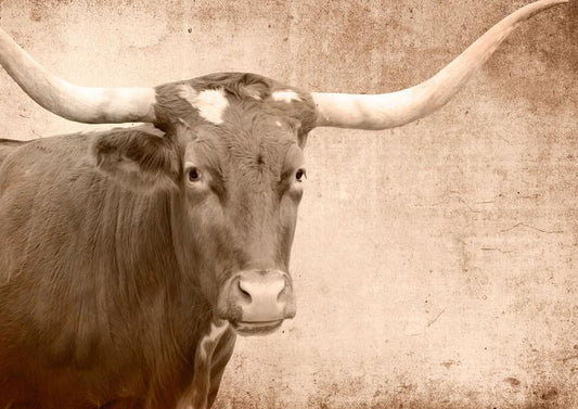 A1 Texas Longhorn Mint Decoupage Paper - The Mustard Seed Collection, The Seed