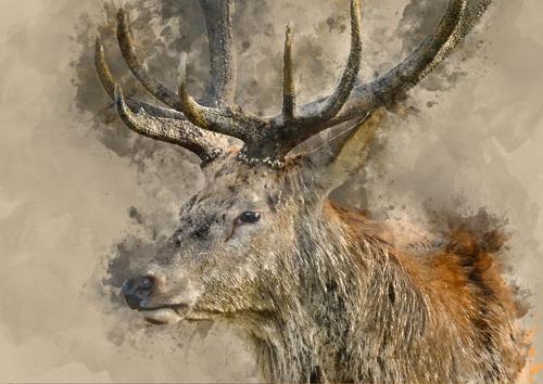 A1 Yes, Deer Mint Decoupage Paper - The Mustard Seed Collection, The Seed