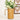 Distressed Golden Metal Pitcher Col House Designs