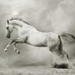 A3 White Horse Mint Decoupage Paper - The Mustard Seed Collection, The Seed