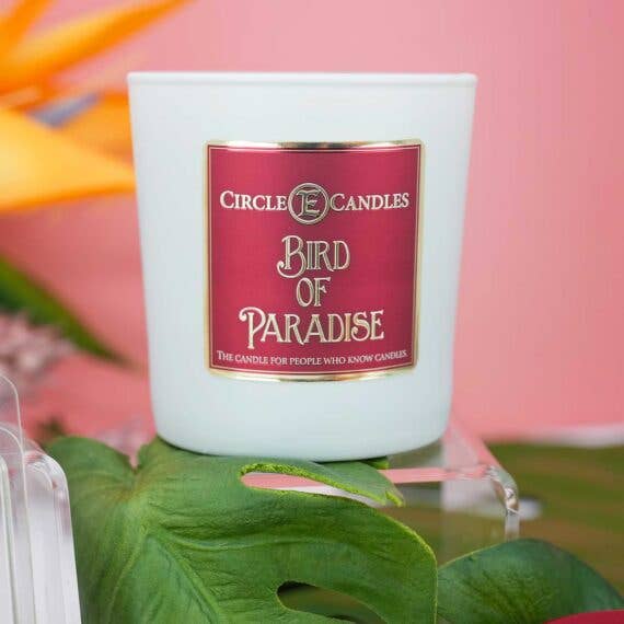 Bird of Paradise: Jar Candle 14oz Circle E Candles