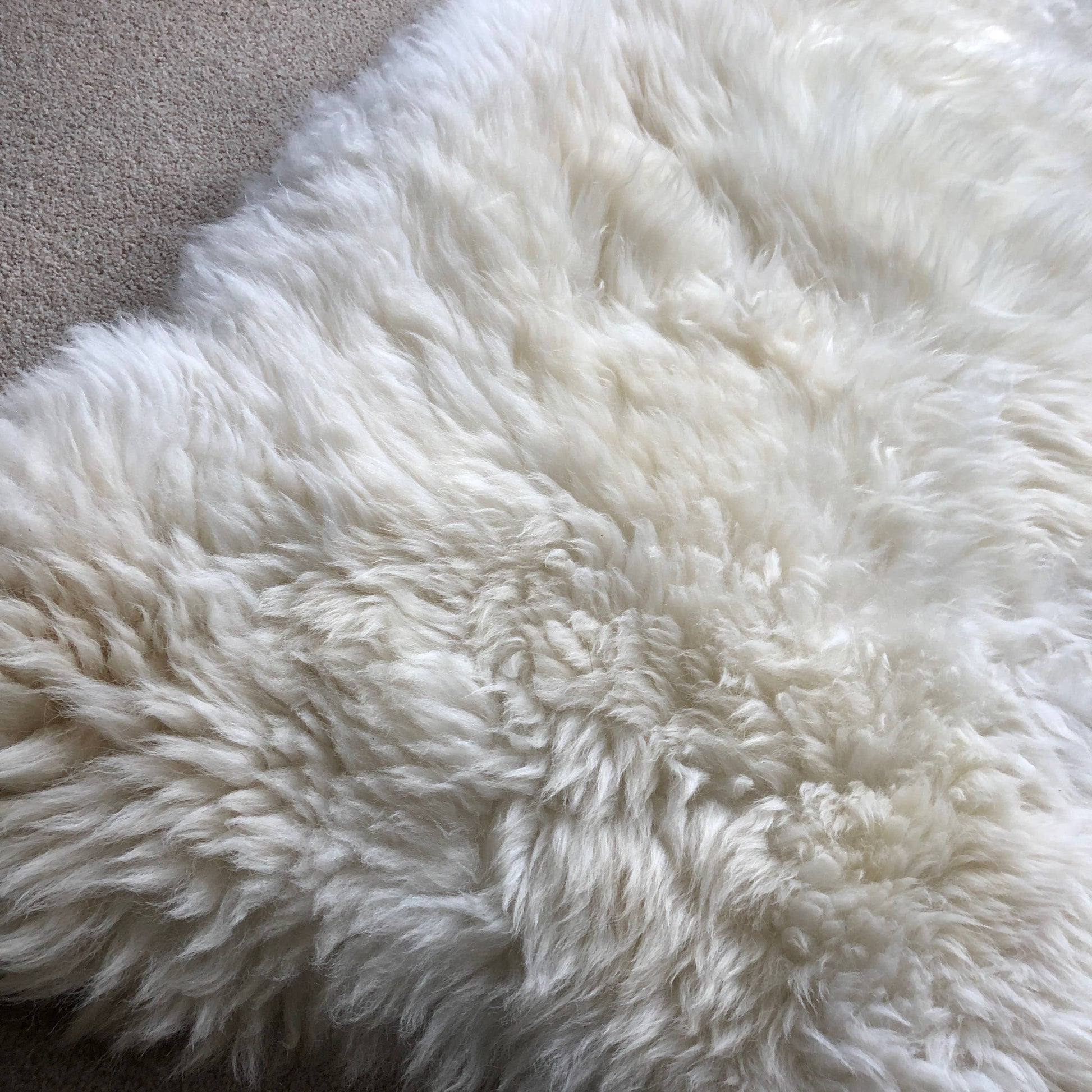 XXL British White Sheepskin Rug 100% Ecotanned