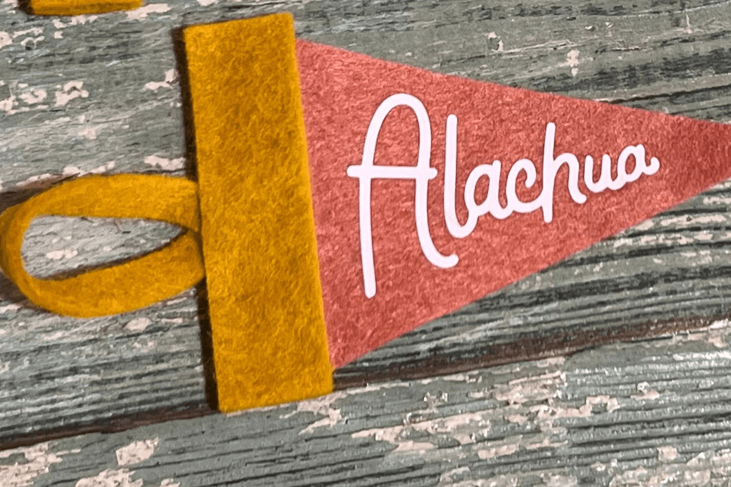 Alachua Mini Pennant Mustard Pink