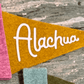 Alachua Mini Pennant Pink Mustard