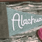 Alachua Mini Pennant Green Teal