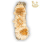 Albino Sunflower with White Sage Bundles - The Mustard Seed Collection, The Seed