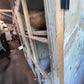 Antique 2 Door Window Chippy Cupboard