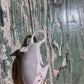 Antique Baby Invalid Feeder Cup Ironstone