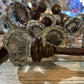 Antique Crystal Door Knob Set - The Mustard Seed Collection, The Seed