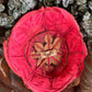 Antique Floral Headpiece - The Mustard Seed Collection, The Seed