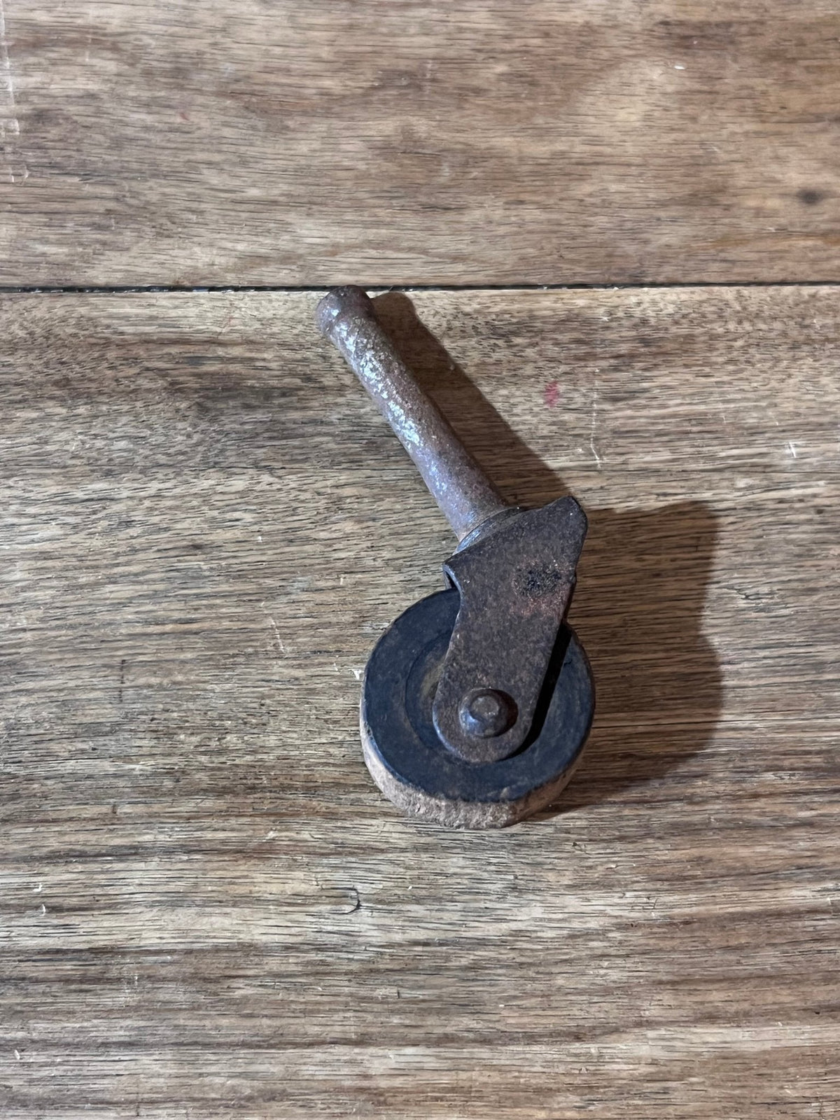 Antique Furniture Caster - The Mustard Seed Collection, The Seed