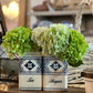 Antique German Nekar Canister - The Mustard Seed Collection, The Seed