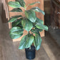 Artificial Fiddle Leaf Fig Plant - The Mustard Seed Collection, The Seed