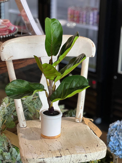 Artificial Fiddle Leaf Fig Plant - The Mustard Seed Collection, The Seed