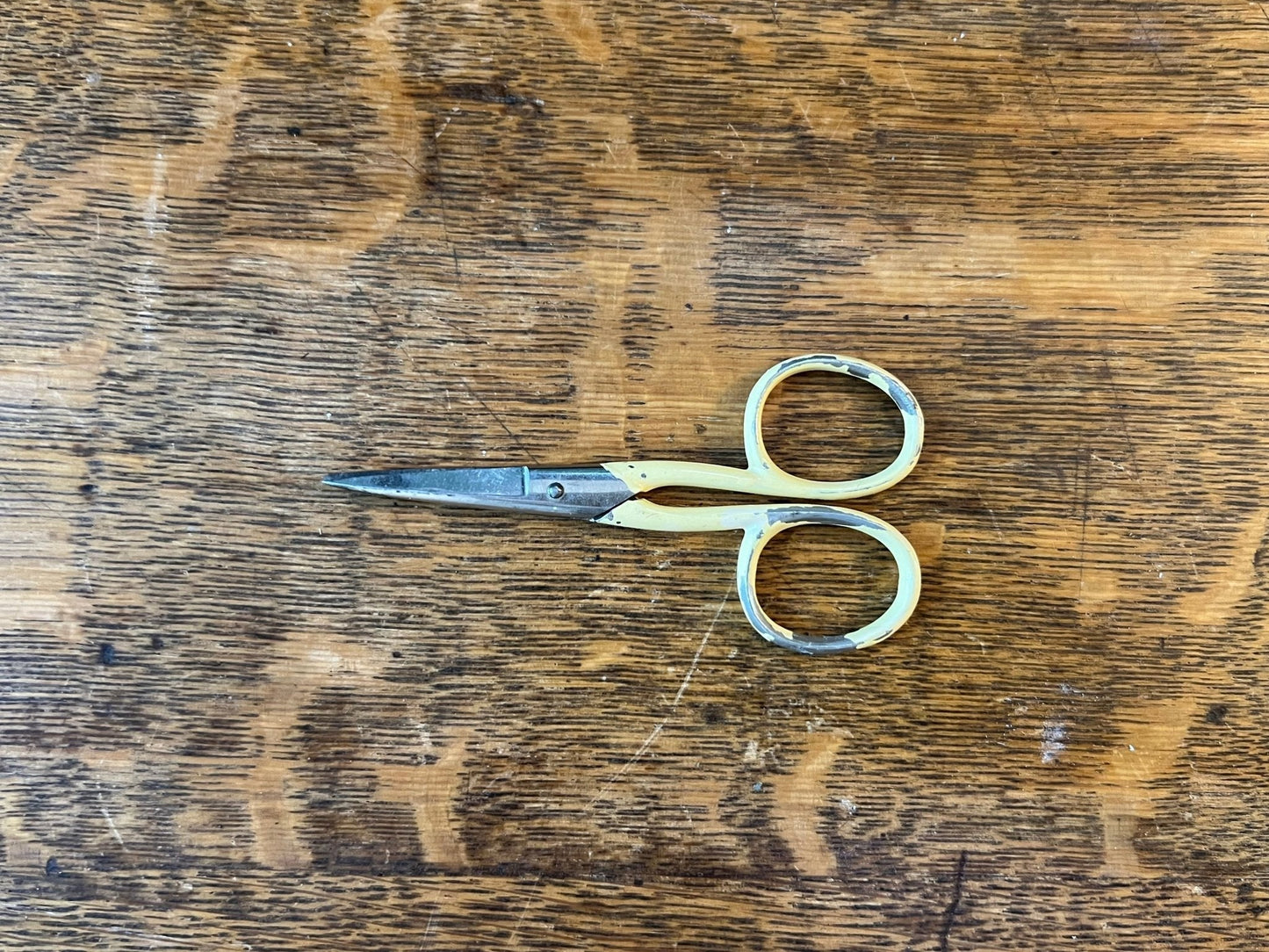 Assorted Scissors - The Mustard Seed Collection, The Seed