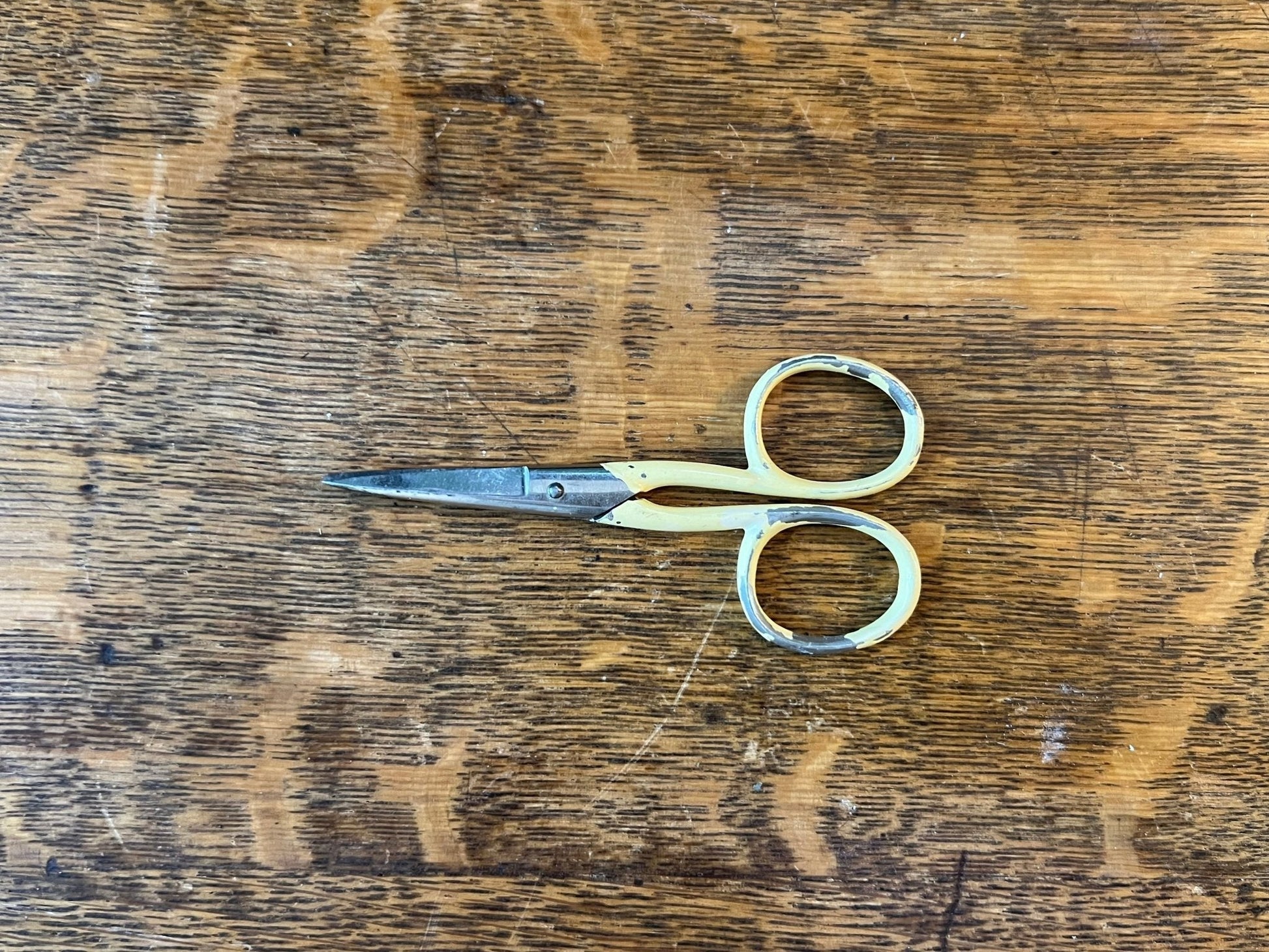 Assorted Scissors - The Mustard Seed Collection, The Seed