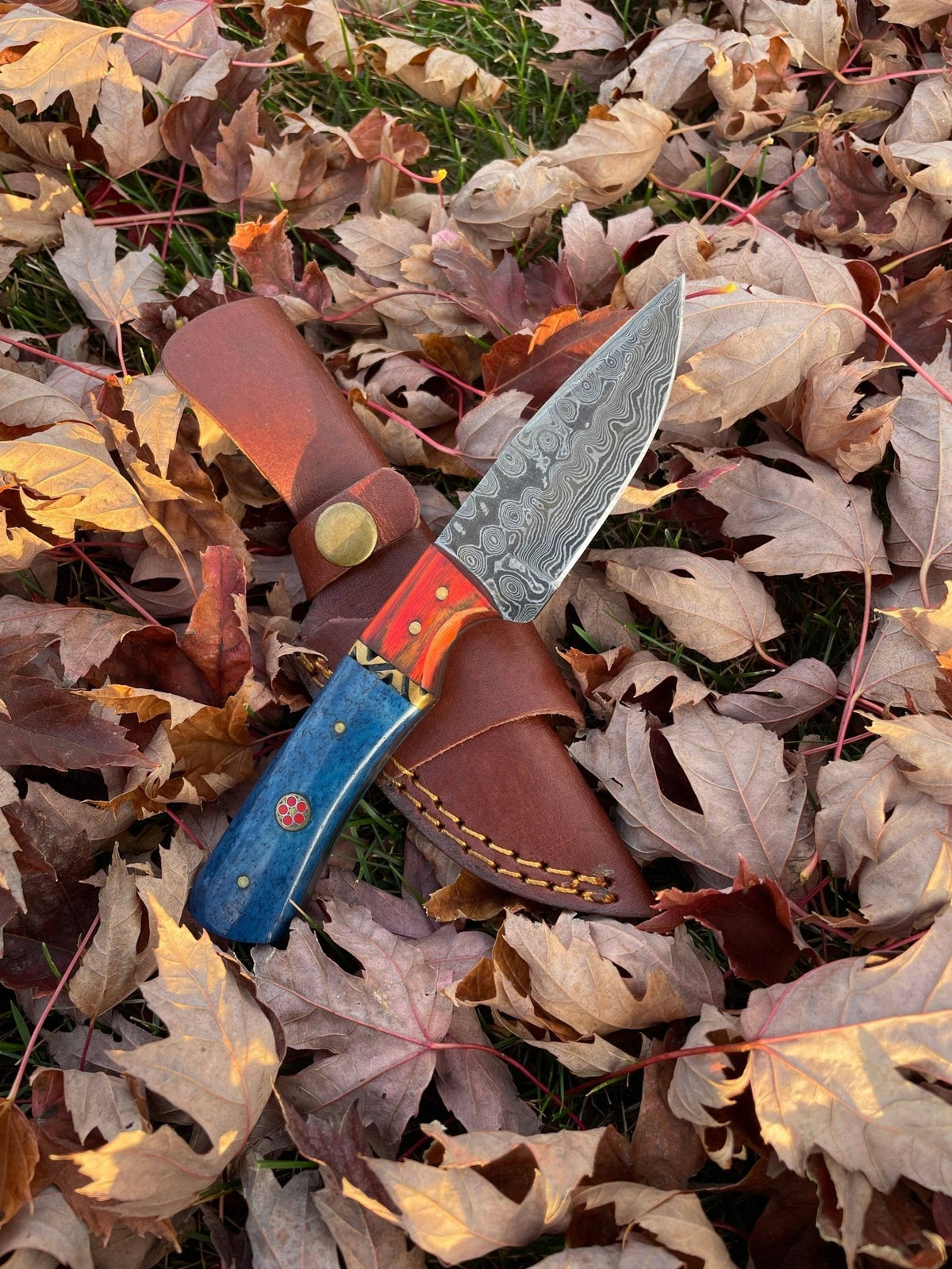Aurora Blade TK-212 Damascus steel hunting knife by Titan International Knives - The Mustard Seed Collection, The Seed