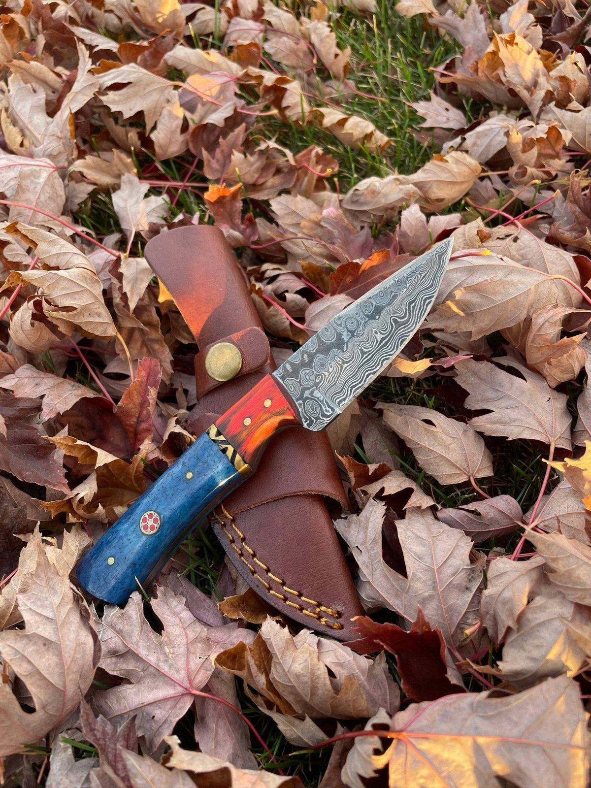 Aurora Blade TK-212 Damascus steel hunting knife by Titan International Knives - The Mustard Seed Collection, The Seed
