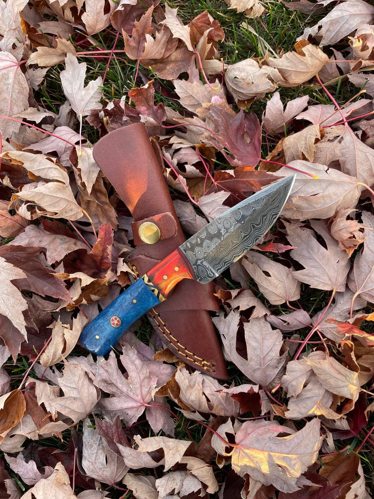 Aurora Blade TK-212 Damascus steel hunting knife by Titan International Knives - The Mustard Seed Collection, The Seed