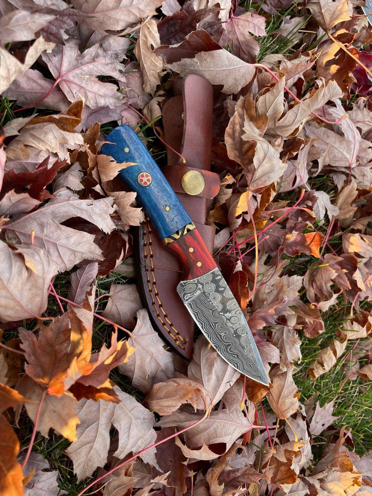 Aurora Blade TK-212 Damascus steel hunting knife by Titan International Knives - The Mustard Seed Collection, The Seed