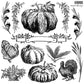Autumn Blessings 12X12 IOD Stamp - The Mustard Seed Collection, The Seed