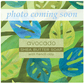Avocado Clay Wrapped Soap 6.4oz Block - The Mustard Seed Collection, The Seed