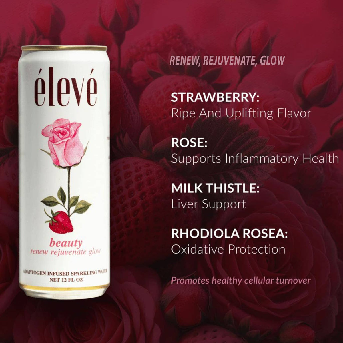 Beauty - renew, rejuvenate, glow - The Mustard Seed Collection, The Seed