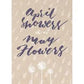 Bentley April Showers - Shasta Daisy Seed Favor - The Mustard Seed Collection, The Seed