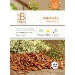 Bentley Caraway - The Mustard Seed Collection, The Seed