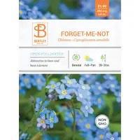 Bentley Forget Me Knot Chinese Cynoglossum Amabile - The Mustard Seed Collection, The Seed