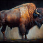 Bison - A1 size large Decoupage Paper - The Mustard Seed Collection, The Seed