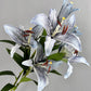 Blue Real Touch Premium Quality Elegant Vintage Blue Bloom Lily - The Mustard Seed Collection, The Seed